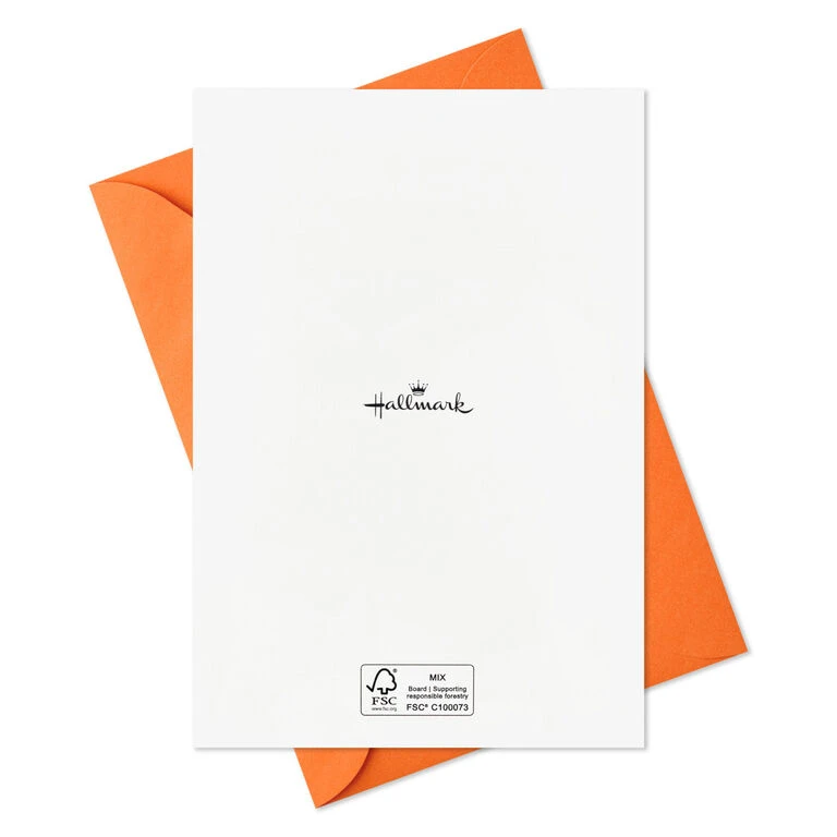 Hallmark Boo To You Boxed Halloween Cards Assortment, Pack Of 36 - Image 8