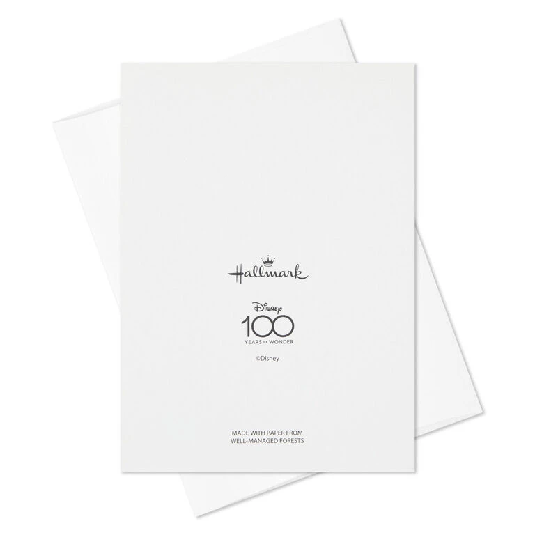 Hallmark Disney 100th Anniversary Boxed Blank Note Cards Assortment, Pack Of 24 - Image 5